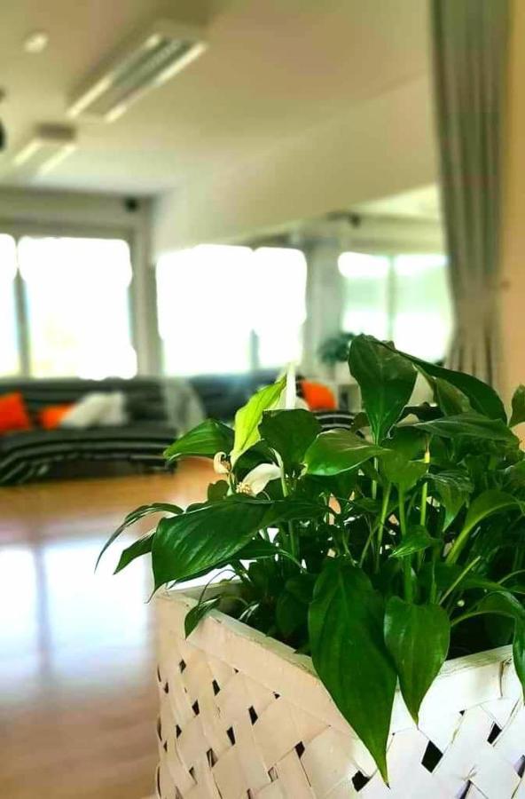Tej Hostel Ljubljana Bagian luar foto